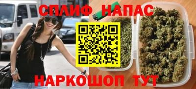 спиды Моздок
